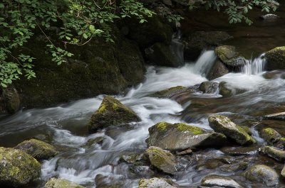 Cascade