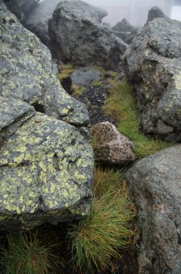 Grass and Rocks in the clouds