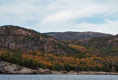Acadian fall foliage