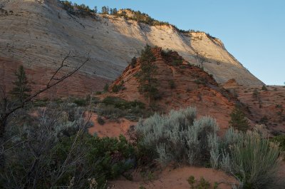 On the Zion Plateau