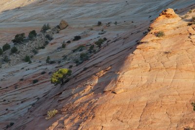 Light breaks over the Zion plateau