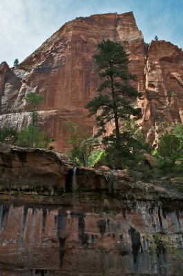 Near the Emerald Pools