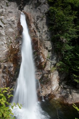 Glen Ellis falls