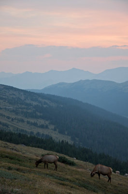 DSC_5922.jpg