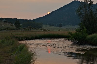 DSC_5954.jpg
