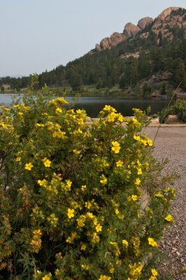 DSC_5961.jpg