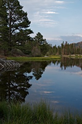 DSC_5779.jpg