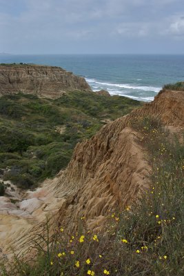 Sandstone cliff on the Yucca Point trail