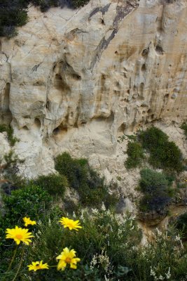 Eroded cliff face