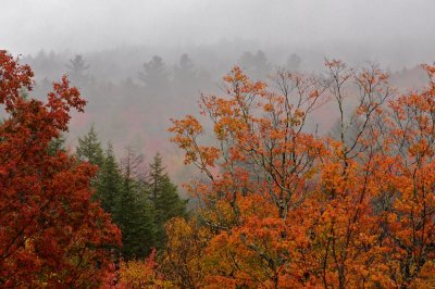 View from Suger Hill overlook
