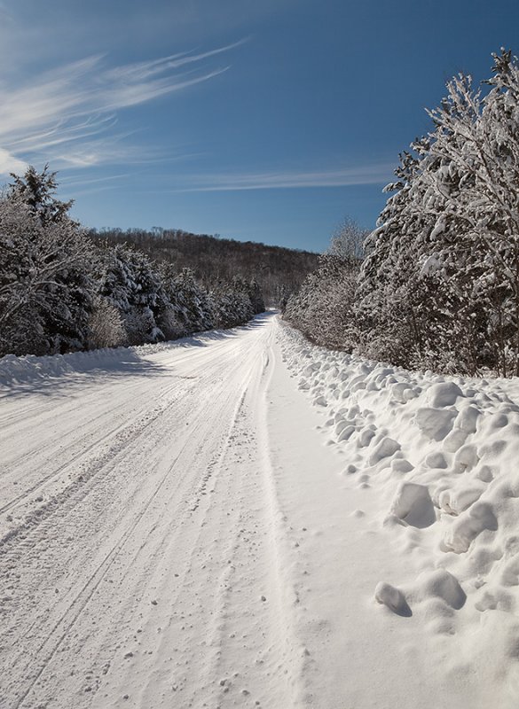 Screaming Heads, Ontario