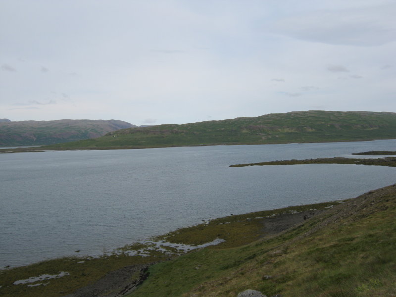 Teigsskógur handan fjarðar (Þorskafjörður)