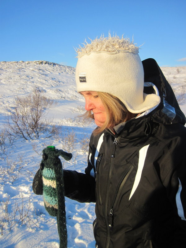 Verðlaun íslenskt brennivín
