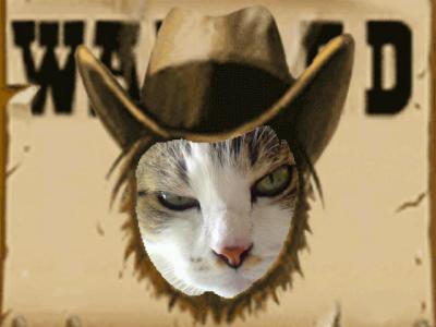 this town ain't big enough for both of us.....