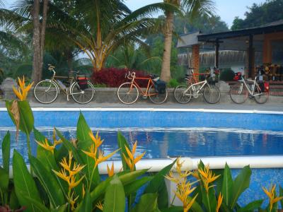the bikes are ready to go