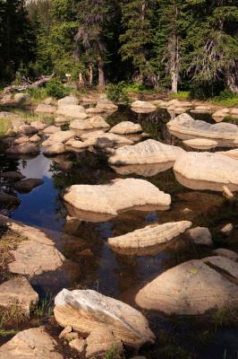 Rock Pool