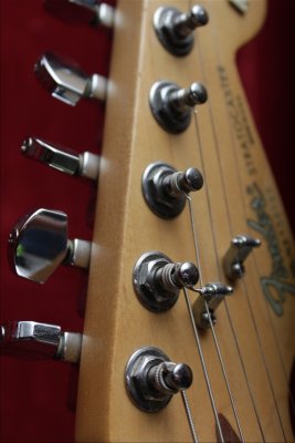 Protero_20110417_4055.jpg