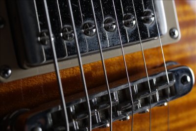 Protero_20110417_4086.jpg