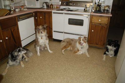 Max and our crew