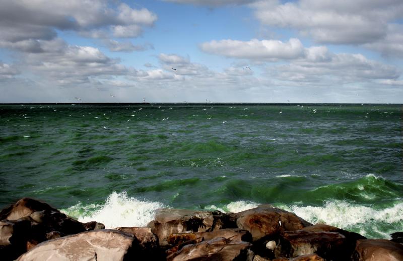 seascape.jpg
