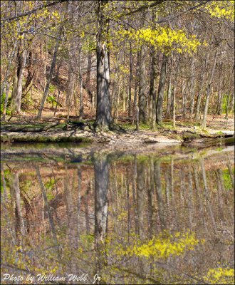 Walace Lake, Cleveland Metro Park System