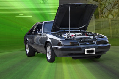MUSTANG 1.jpg