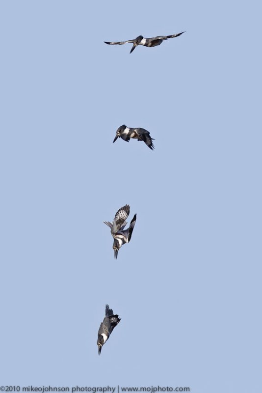 007-.jpg