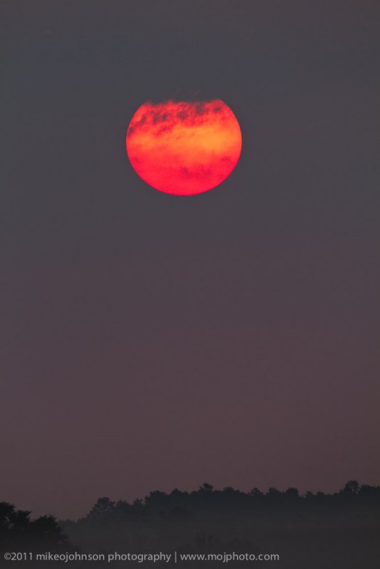 002-.jpg
