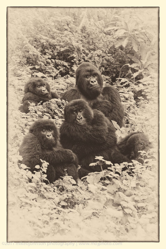 007-Sabinyo Family