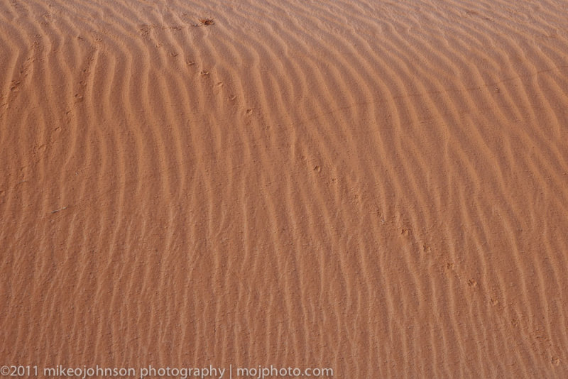 014Tracks in Monument Valley Sand