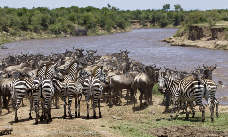 145-At the Crossing.jpg