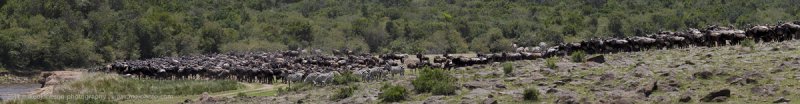 163-Massing at the Crossing.jpg