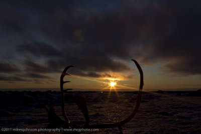 018-Caribou Sunset.jpg