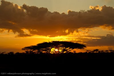 048-Masai Mara Sunset.jpg