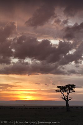 090-African Sunrise.jpg