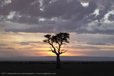 091-African Sunrise.jpg