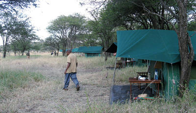 The tents in a row