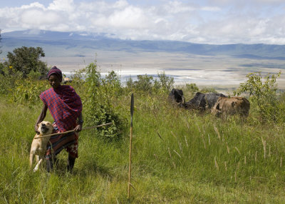 Masai cattle herder - Crater in background