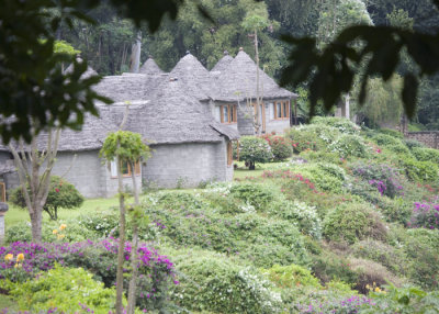 Mountain Village Lodge