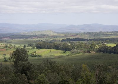 Viw from Gibbs Farm