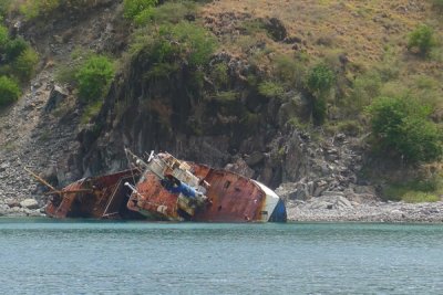 the sinking boat is where we see most of the fish
