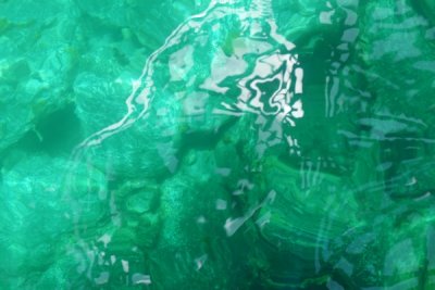 see how clear the water is!