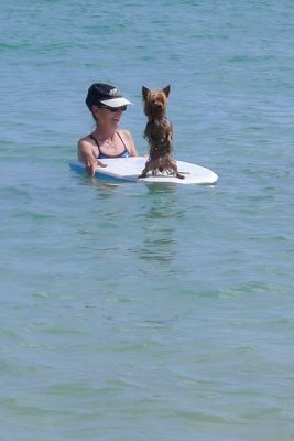 what a cute surfer