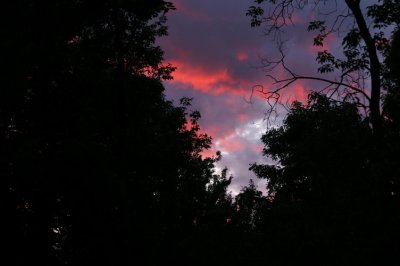 PICT5240.JPG
