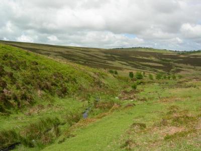 Exmoor.jpg