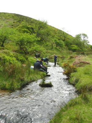 River-ecology.jpg