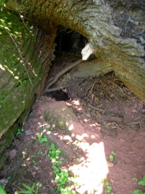 Sett entrance.jpg