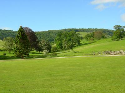 View from house.jpg