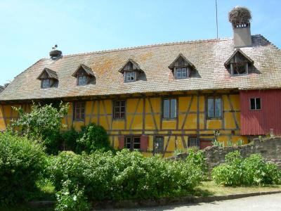 House with 2 storks' nests.jpg