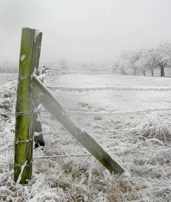 gatepost.jpg